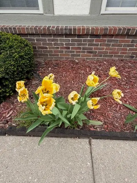 41488 Wild Turkey, Canton, MI 48188 - #3