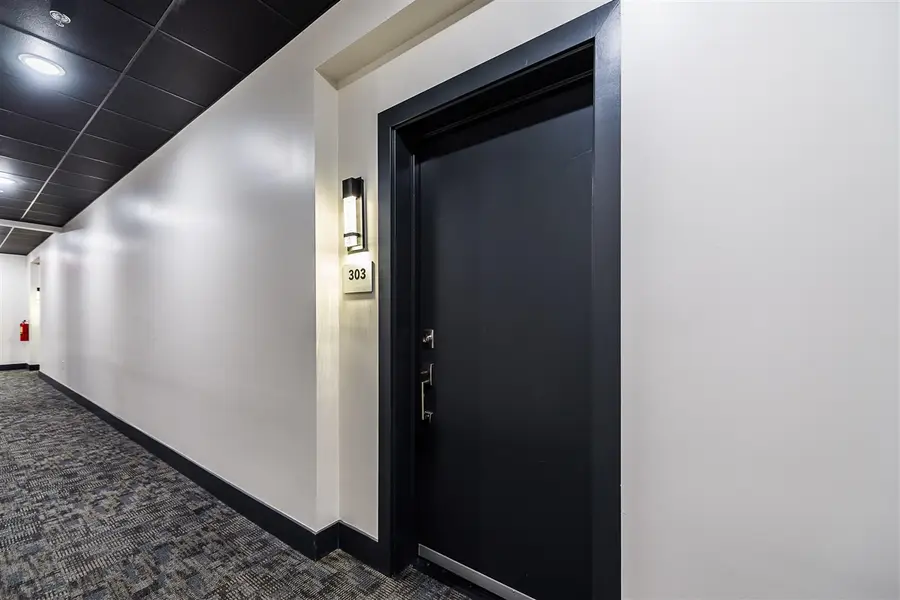 441 S Ashley #303, Ann Arbor, MI 48103 - #2