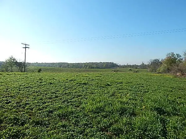 8833 W Territorial, Camden, MI 49232