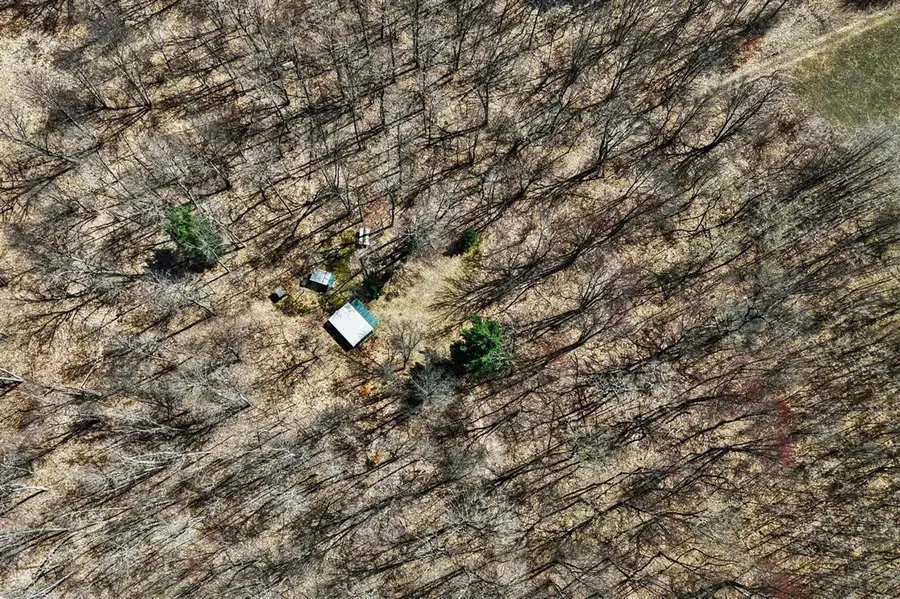 VL N Pine, Big Rapids, MI 49307 - #3