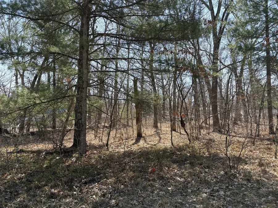 S Chief Okemos, Baldwin, MI 49304 - #2