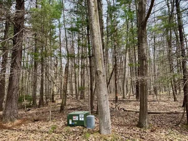 6810 E Clubhouse, Canadian Lakes, MI 49346