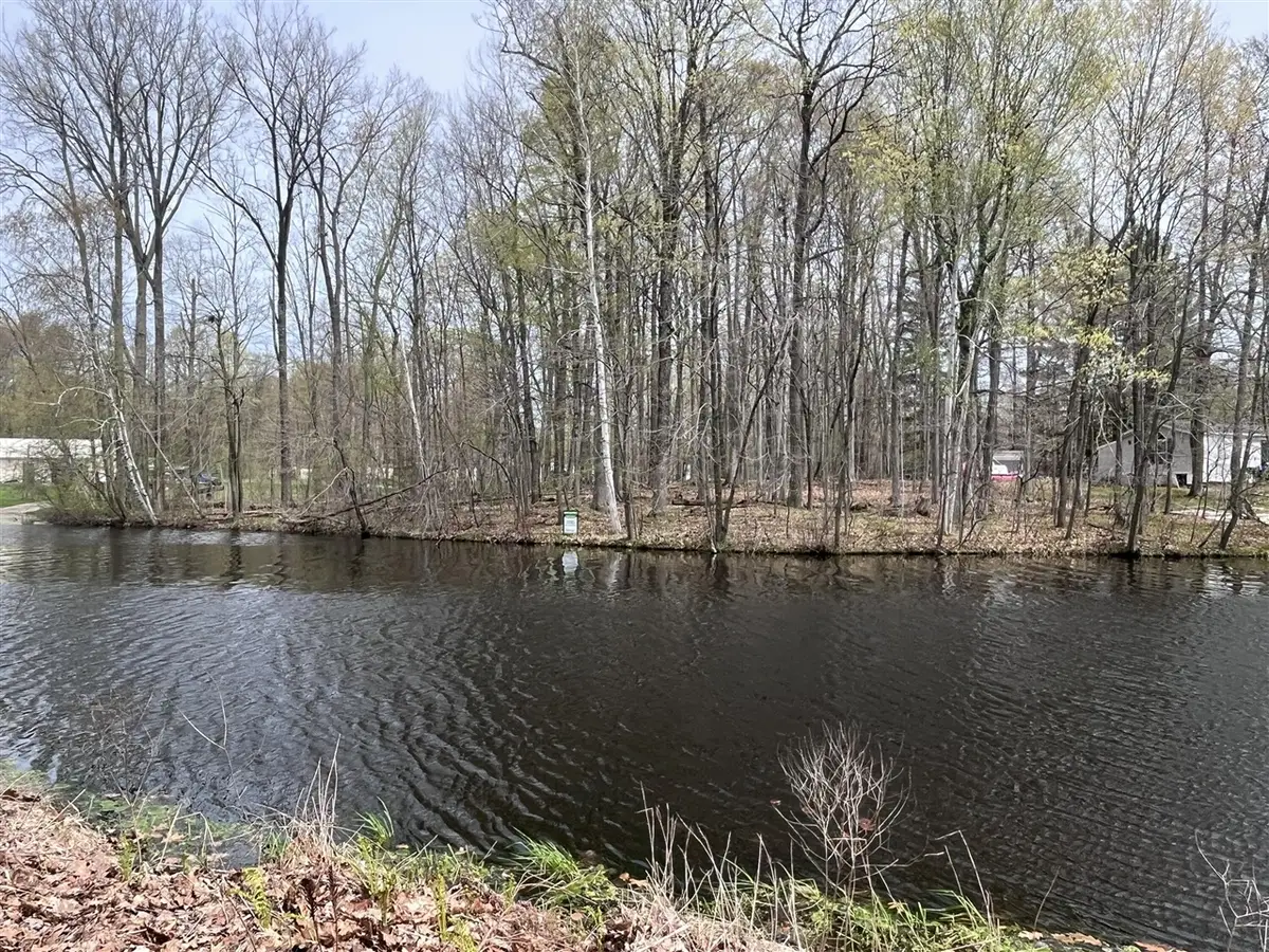 Lot 160 E Shore, Stanton, MI 48888 - #1