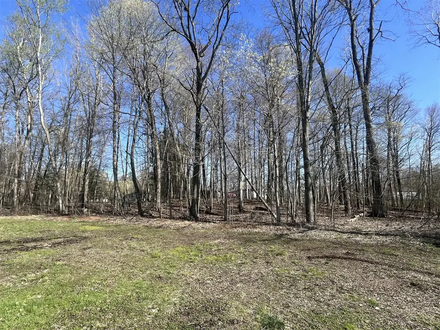 Lot 160 E Shore, Stanton, MI 48888 - #3