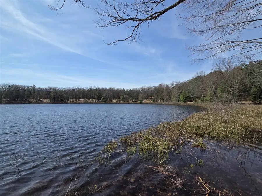 6446 N Sunshine, Irons, MI 49644 - #2