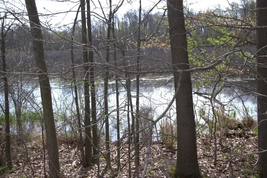 V/L Frost, Portland, MI 48875 - #2