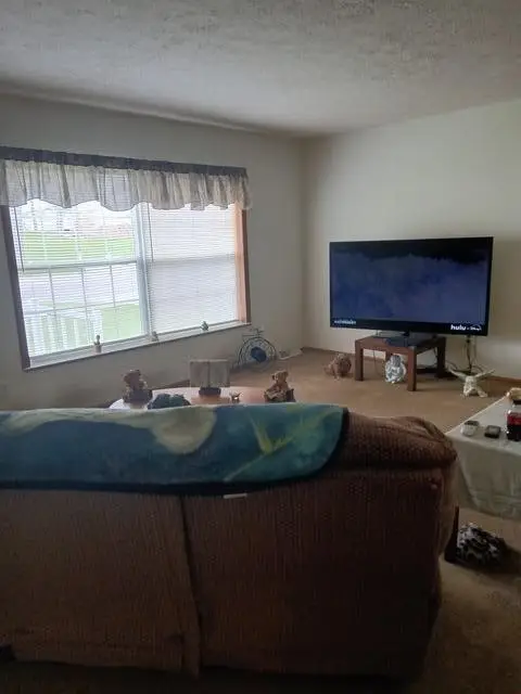 534 E Siena Heights, Adrian, MI 49221 - #3