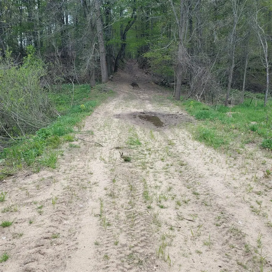 17th, Hopkins, MI 49328 - #3