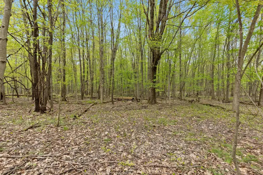 6th, Bloomingdale, MI 49026 - #3