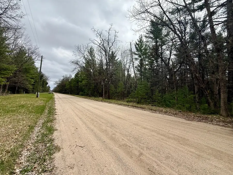 5858 W Wingleton, Baldwin, MI 49304 - #3