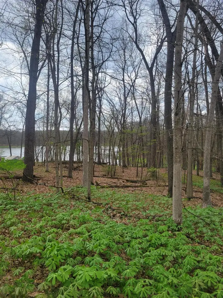 6452 N Shore, Richland, MI 49083 - #3