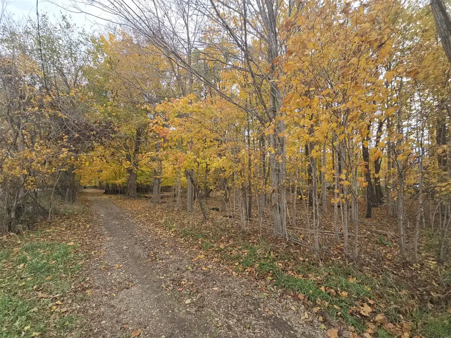 1182 Oliverda, Sherwood, MI 49089 - #2