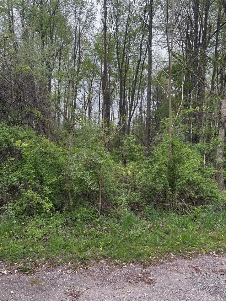 W Quimby, Hastings, MI 49058 - #2