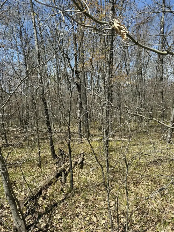V/L Shadowbrook, Lake, MI 48632 - #1