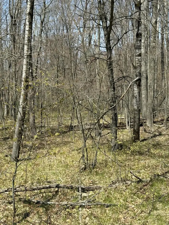 V/L Shadowbrook, Lake, MI 48632 - #2