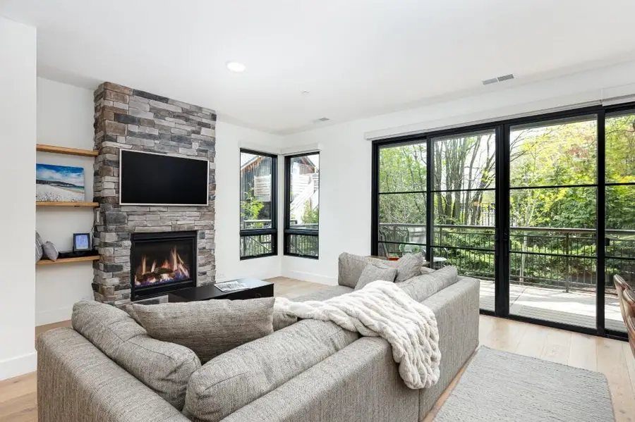 325 E Summit #101, Ann Arbor, MI 48104 - #3
