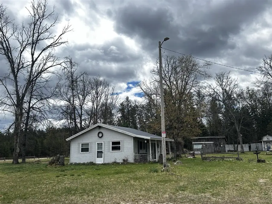 955 E 11 Mile, Irons, MI 49644 - #2