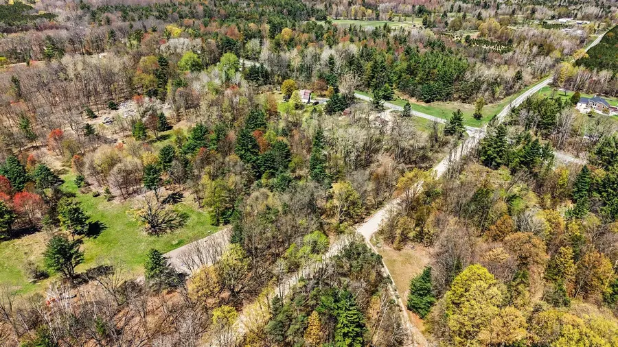 8971 E 64th, Chase, MI 49623 - #3