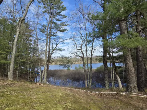 4735 N Alice Lake, Irons, MI 49644