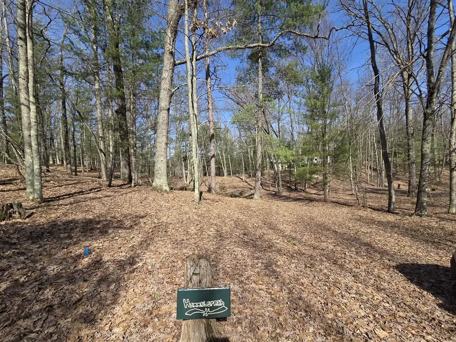4735 N Alice Lake, Irons, MI 49644 - #2