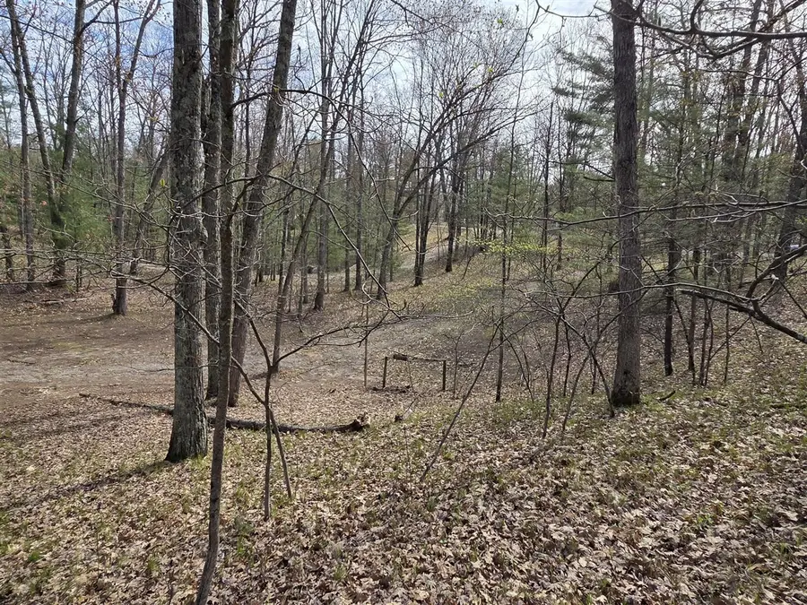 4735 N Alice Lake, Irons, MI 49644 - #3