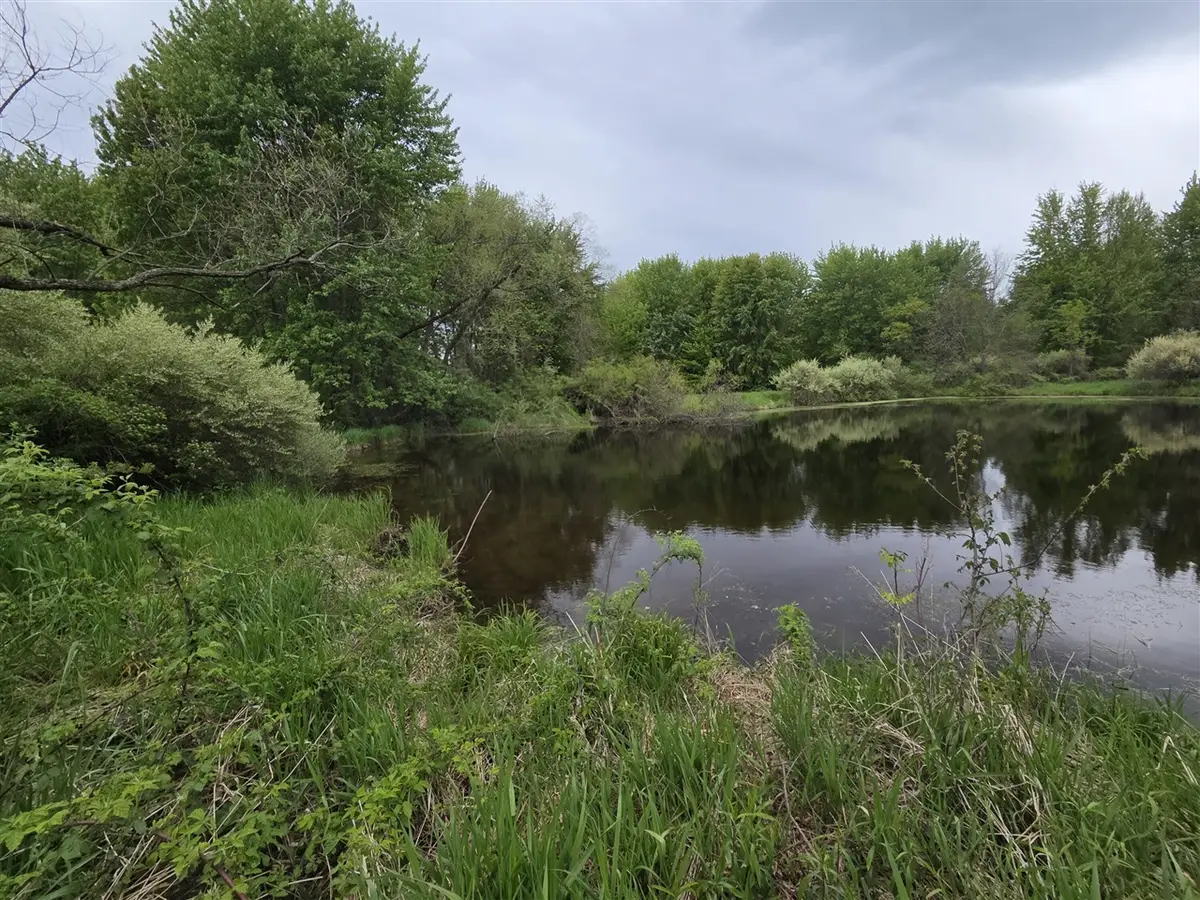 V/L Michigan 40, Paw Paw, MI 49079 - #1