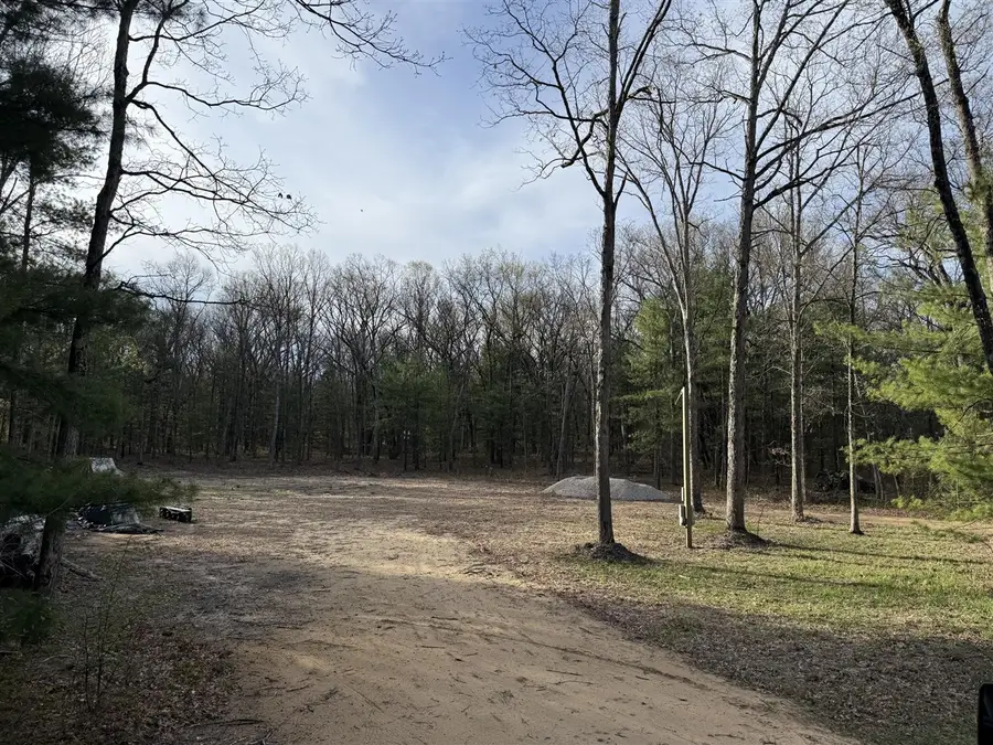 9100 S Lovers, Newaygo, MI 49337 - #3