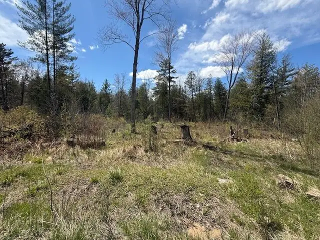 735 N Lakola, Leroy, MI 49655 - #2