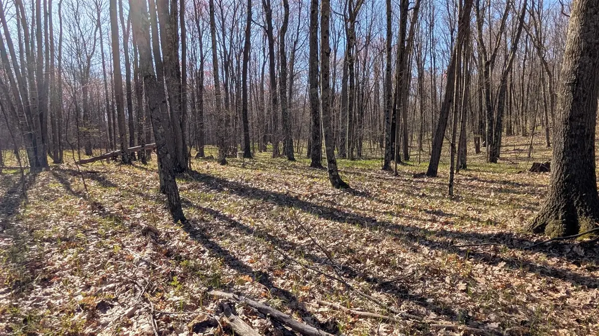 V/l Willow, Bitely, MI 49309 - #1