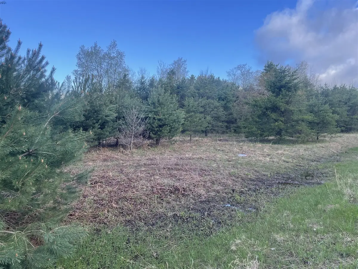 1910 S 132nd, Shelby, MI 49455 - #1