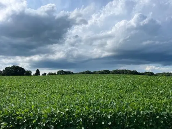 00 Gramer, Webberville, MI 48892