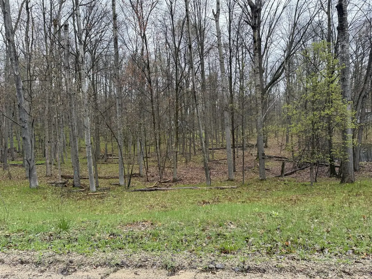 8196 Pine Tree, Stanwood, MI 49346 - #1