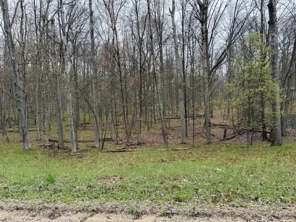 8196 Pine Tree, Stanwood, MI 49346