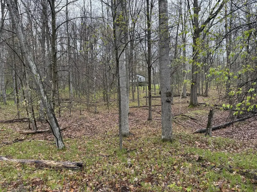 8196 Pine Tree, Stanwood, MI 49346 - #2