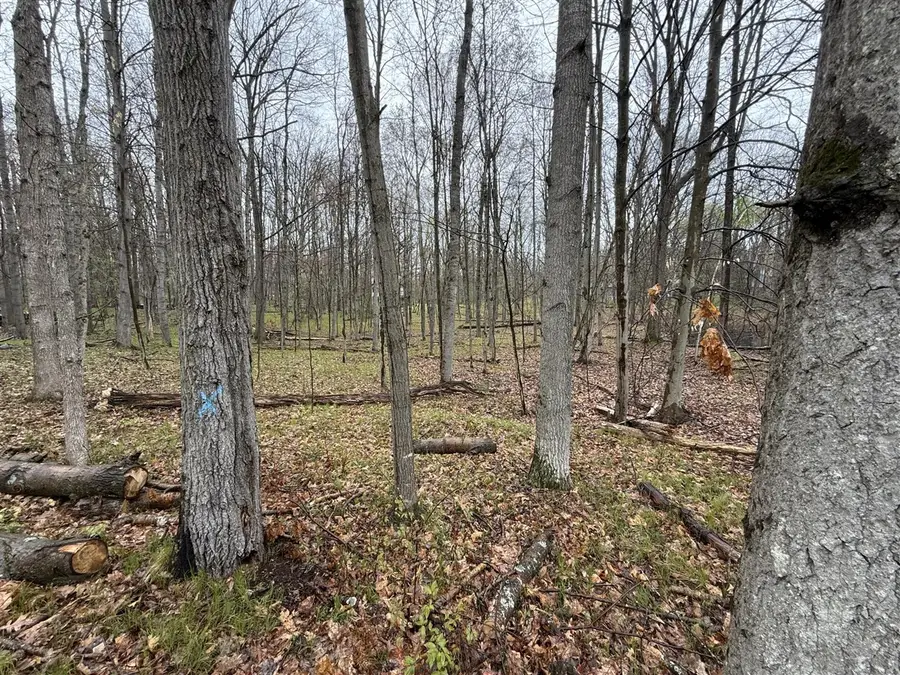 8196 Pine Tree, Stanwood, MI 49346 - #3