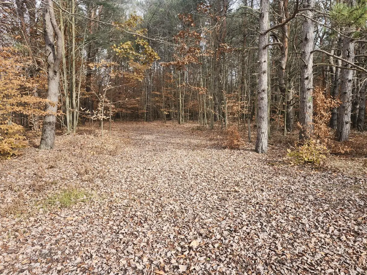 VL 5 acres 9 Mile, Kaleva, MI 49645 - #1