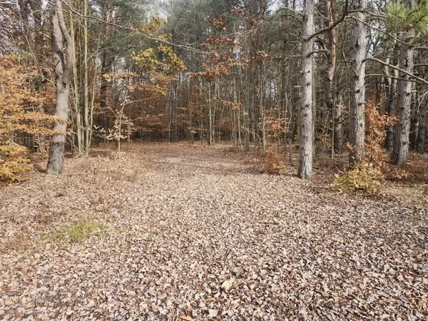 VL 5 acres 9 Mile, Kaleva, MI 49645
