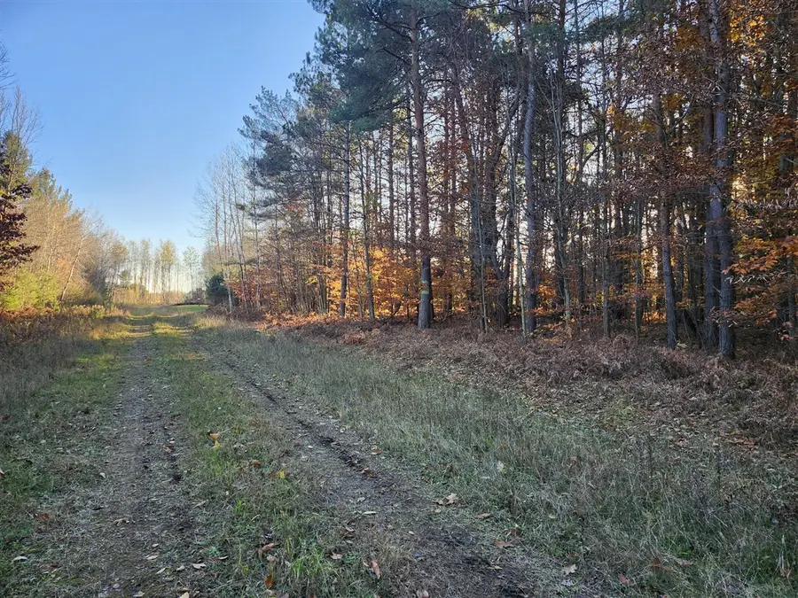 VL 5 acres 9 Mile, Kaleva, MI 49645 - #3