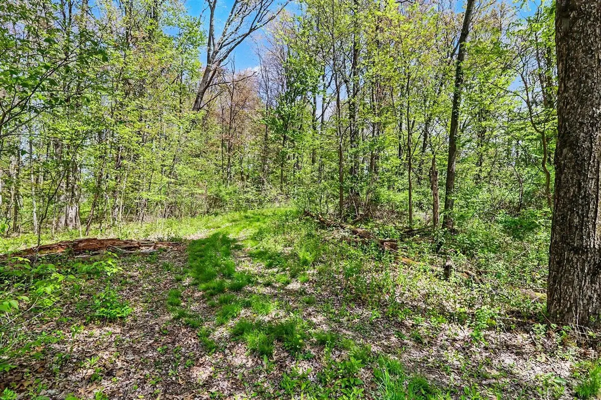 N Uldriks, Battle Creek, MI 49017 - #1