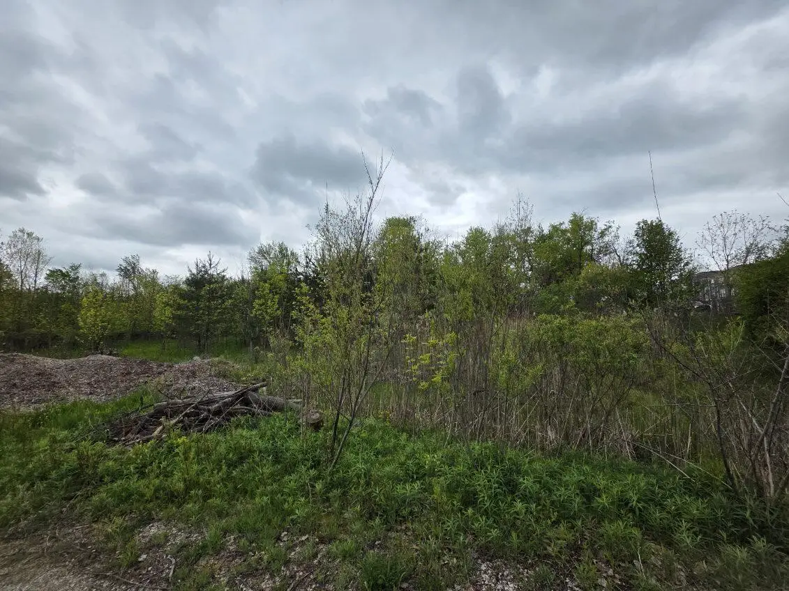 10816 Adams, Holland, MI 49423 - #1