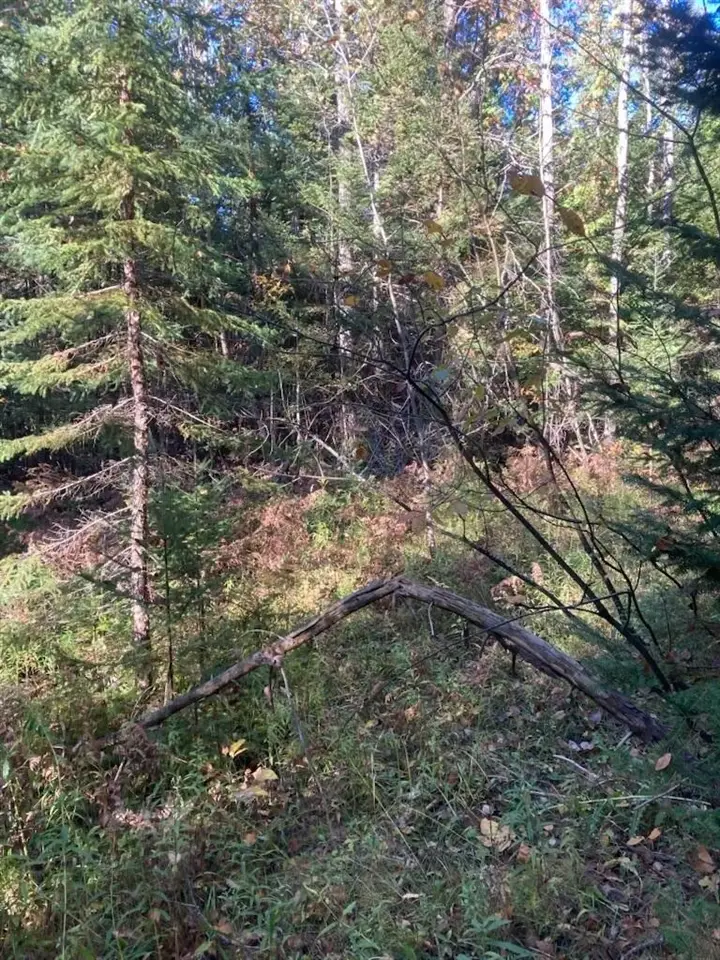 9165 Afton, Afton, MI 49705 - #2