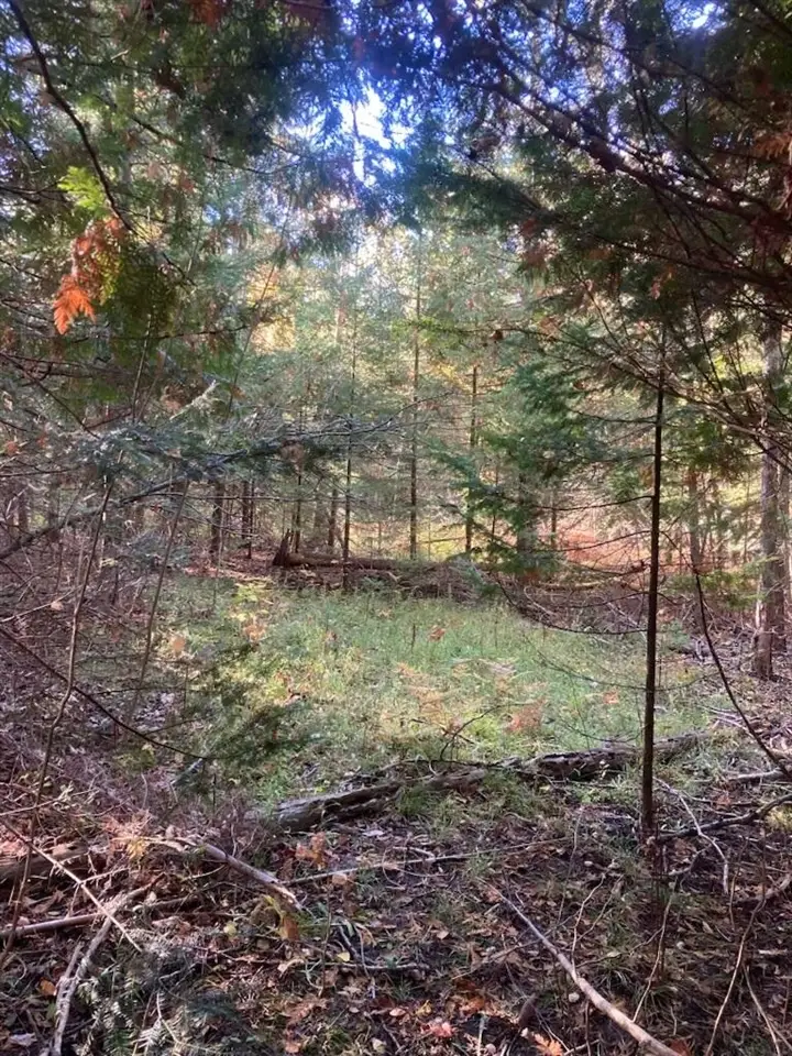 9165 Afton, Afton, MI 49705 - #3