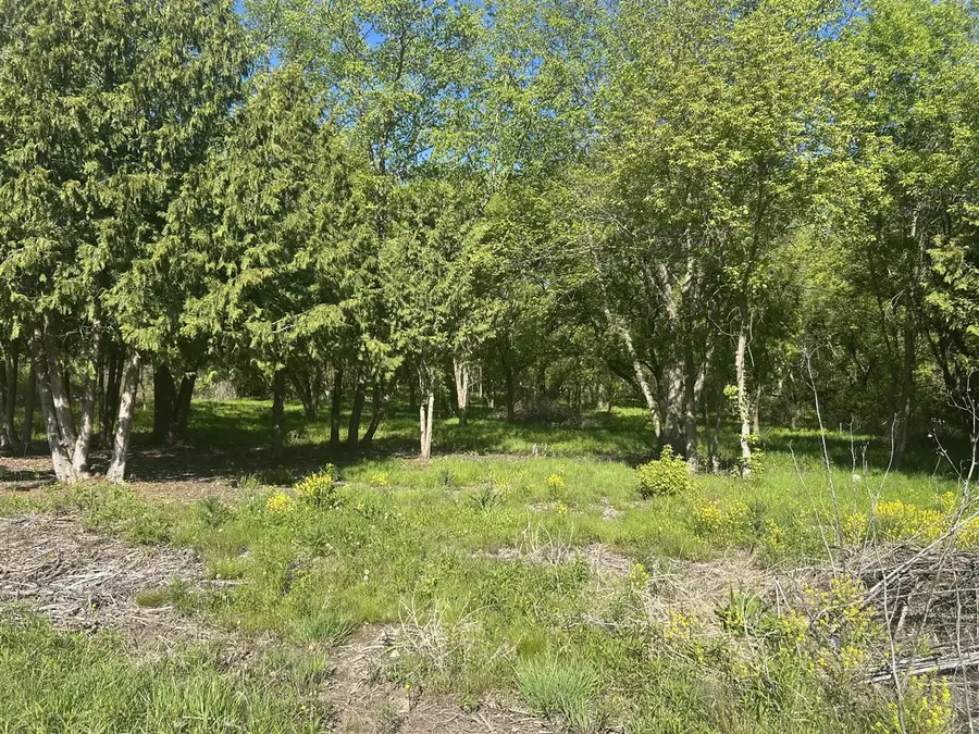 0 White Birch, Charlotte, MI 48813 - #2