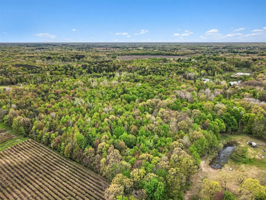58th, Grand Junction, MI 49056 - #3