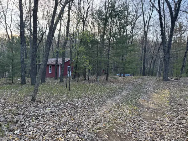 9075 S Larson, Baldwin, MI 49304