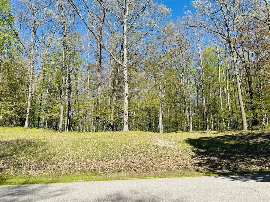 9304 Briarstone, Canadian Lakes, MI 49346 - #2