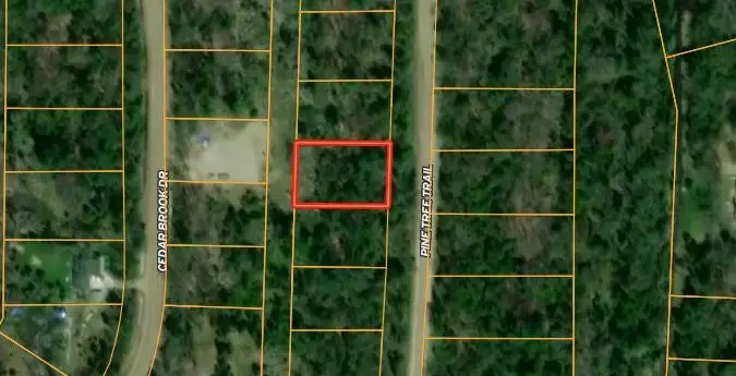 Pine Tree Trail, Oscoda, MI 48750 - #2