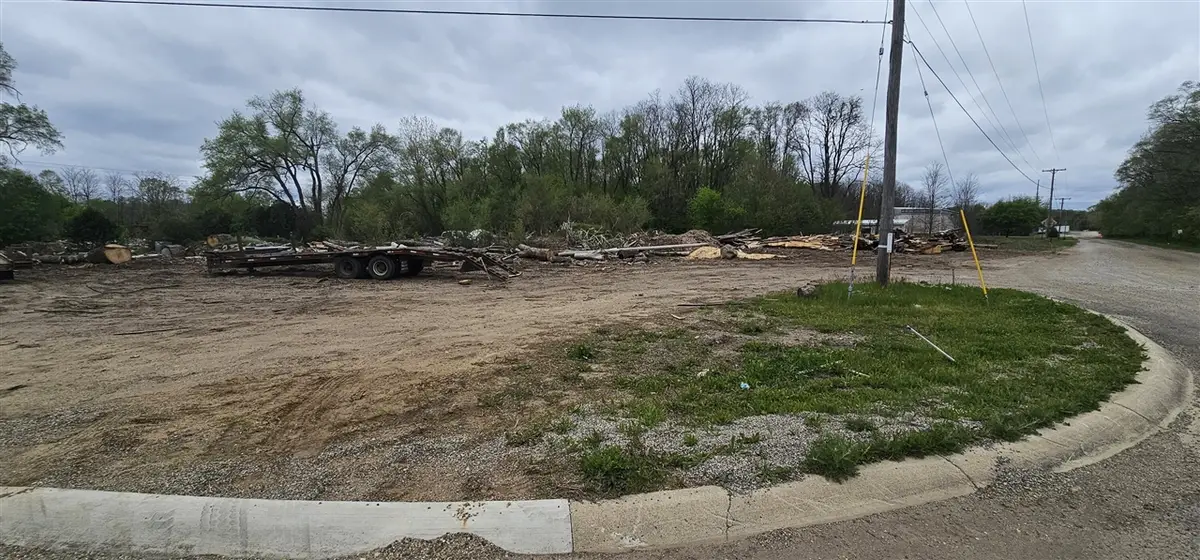 S Michigan, Albion, MI 49224 - #1