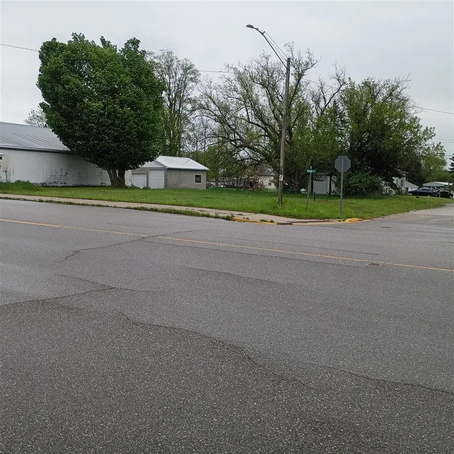 143 W Main, Walkerville, MI 49459 - #3