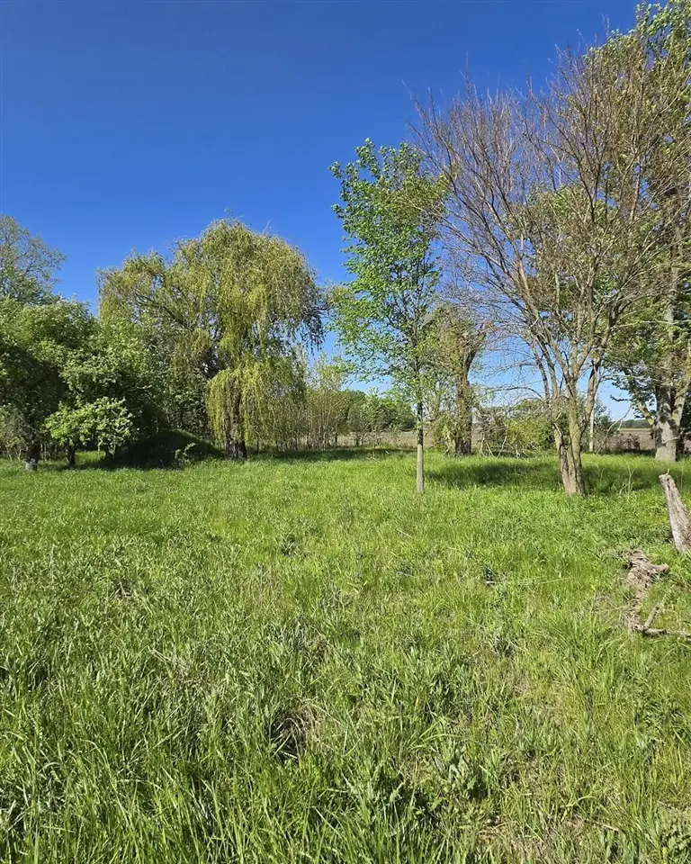18946 Avery, Three Oaks, MI 49128 - #1